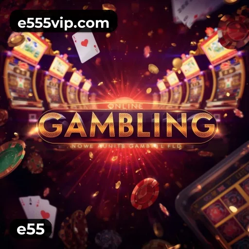 Recursos App e55